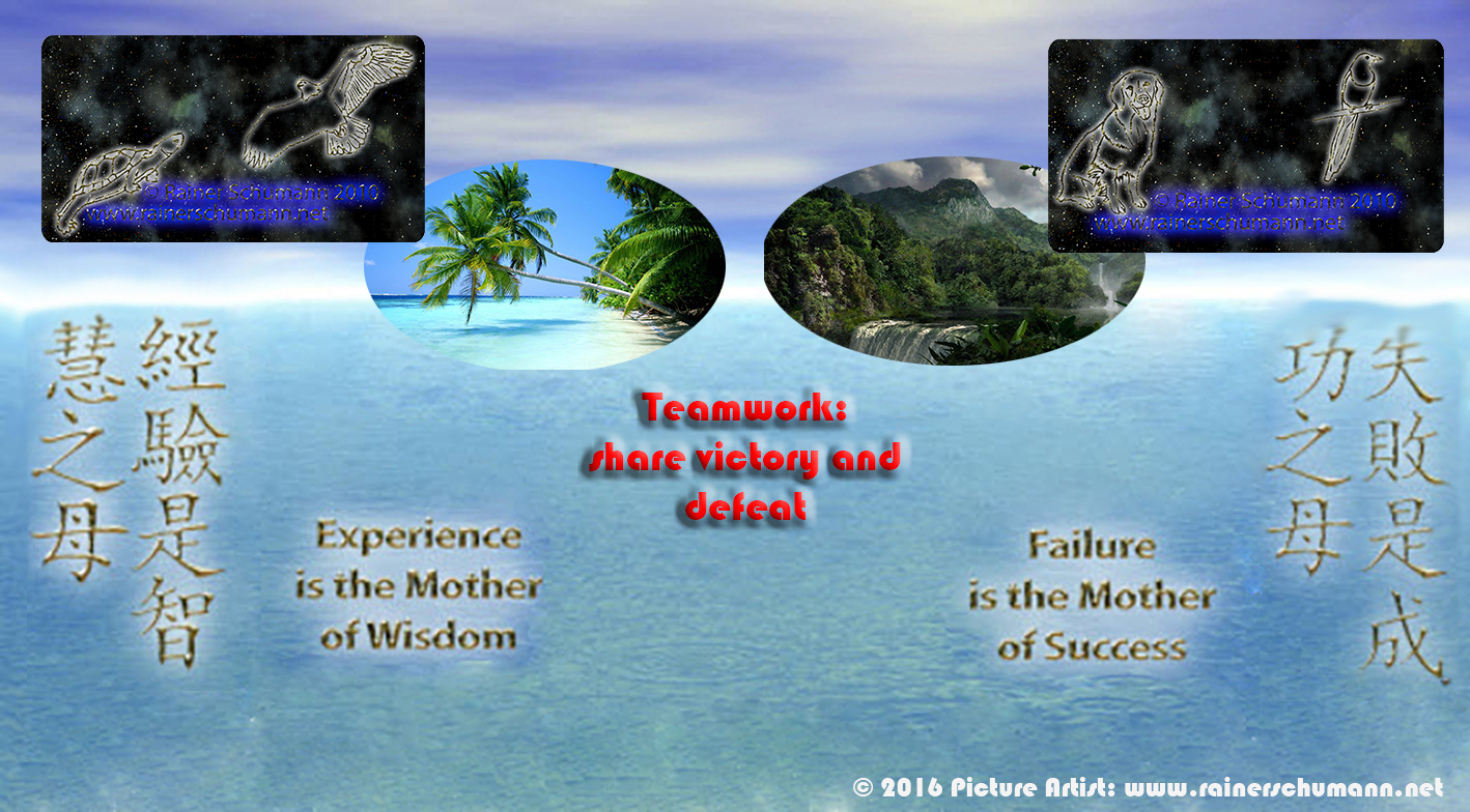 experience plus failure